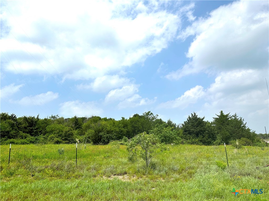 15.3 Ac. Tract 03 Spring Valley Road Property Photo 23