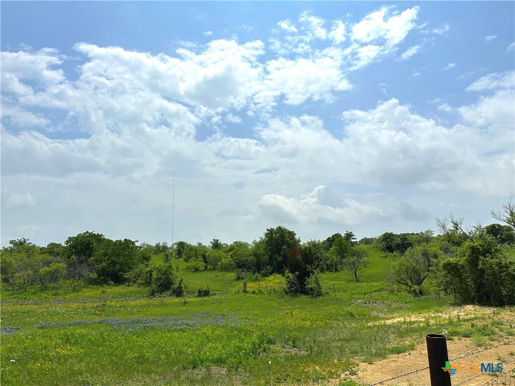 15.3 Ac. Tract 03 Spring Valley Road Property Photo 24