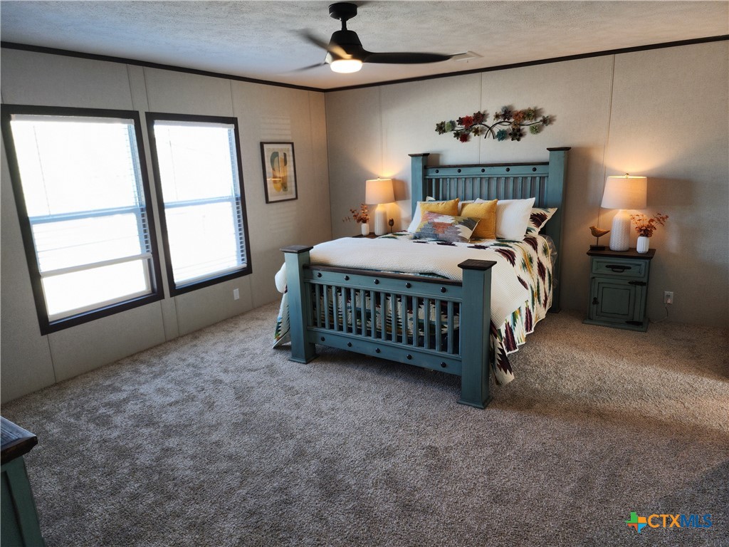 4917 Bronco Ridge Property Photo 17