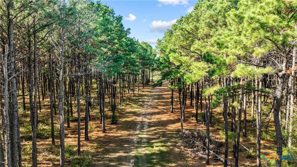 6871 N Fm 17 Property Photo 2