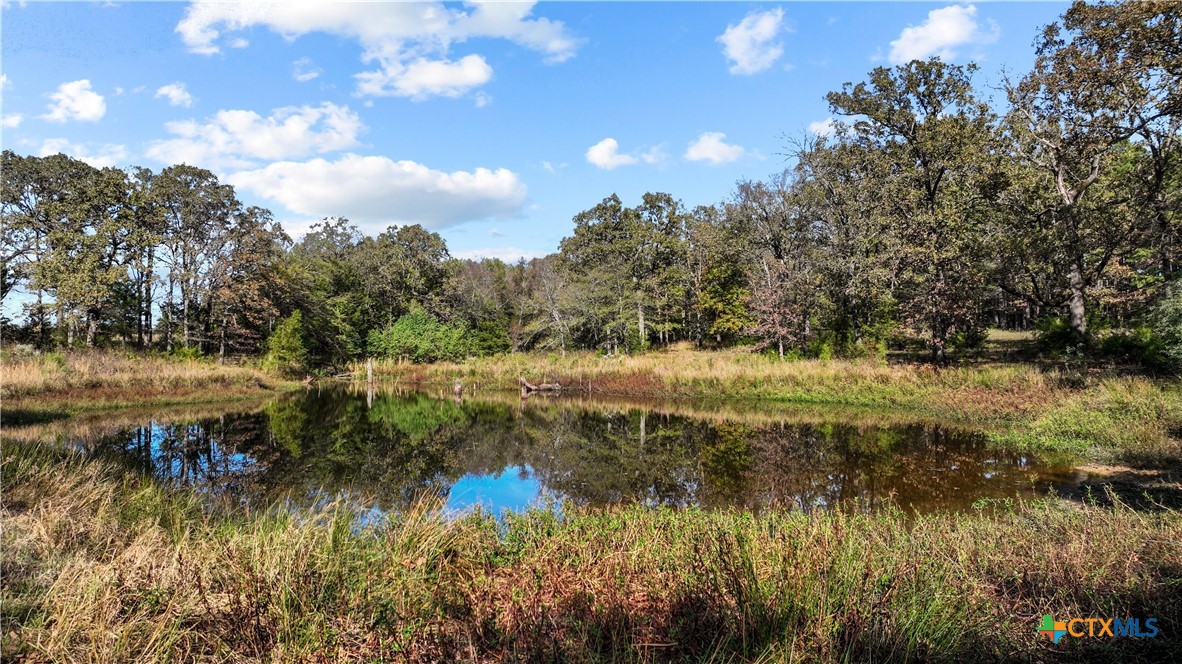 6871 N Fm 17 Property Photo 3