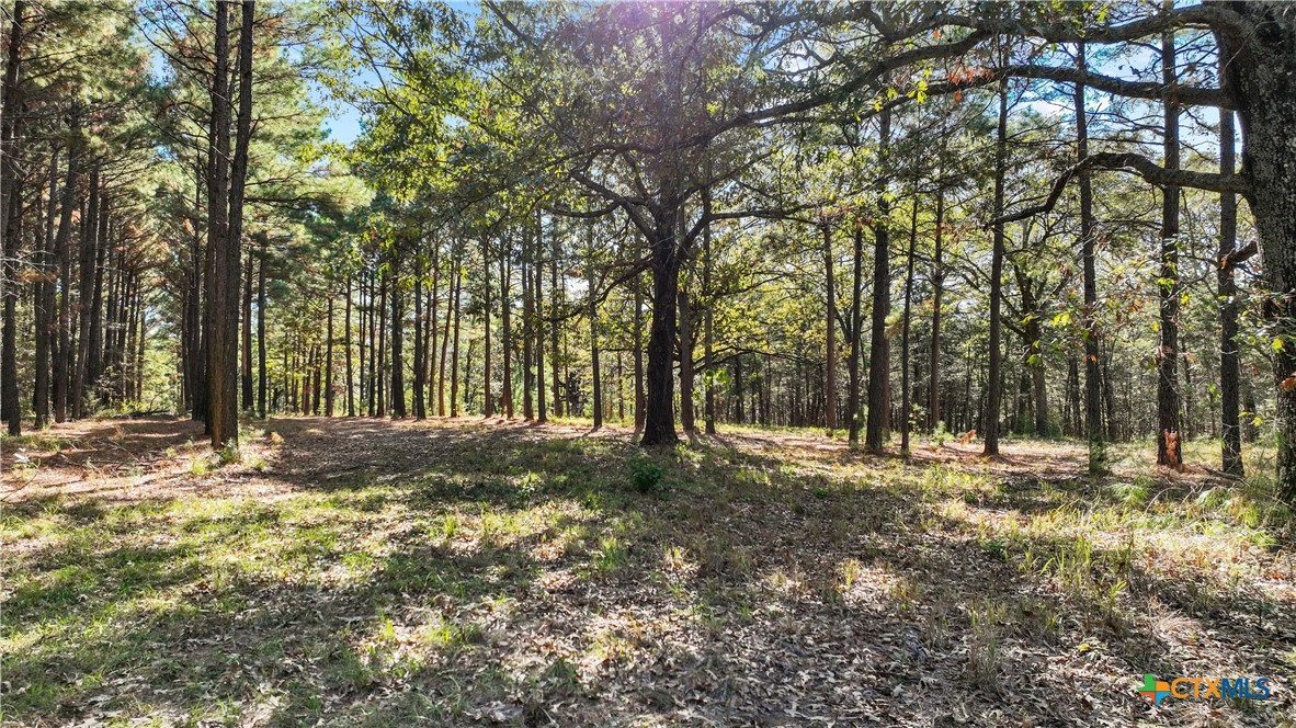 6871 N Fm 17 Property Photo 7