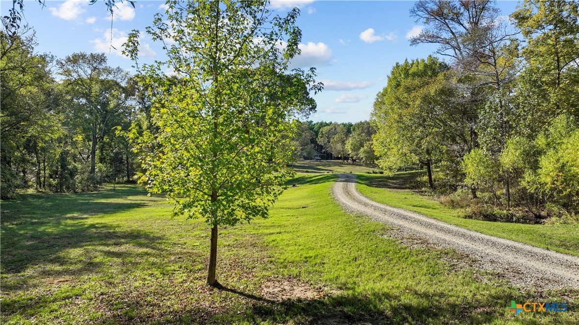 6871 N Fm 17 Property Photo 14