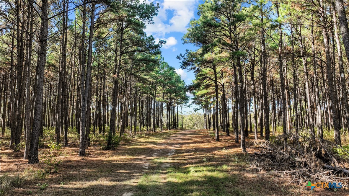 6871 N Fm 17 Property Photo 29