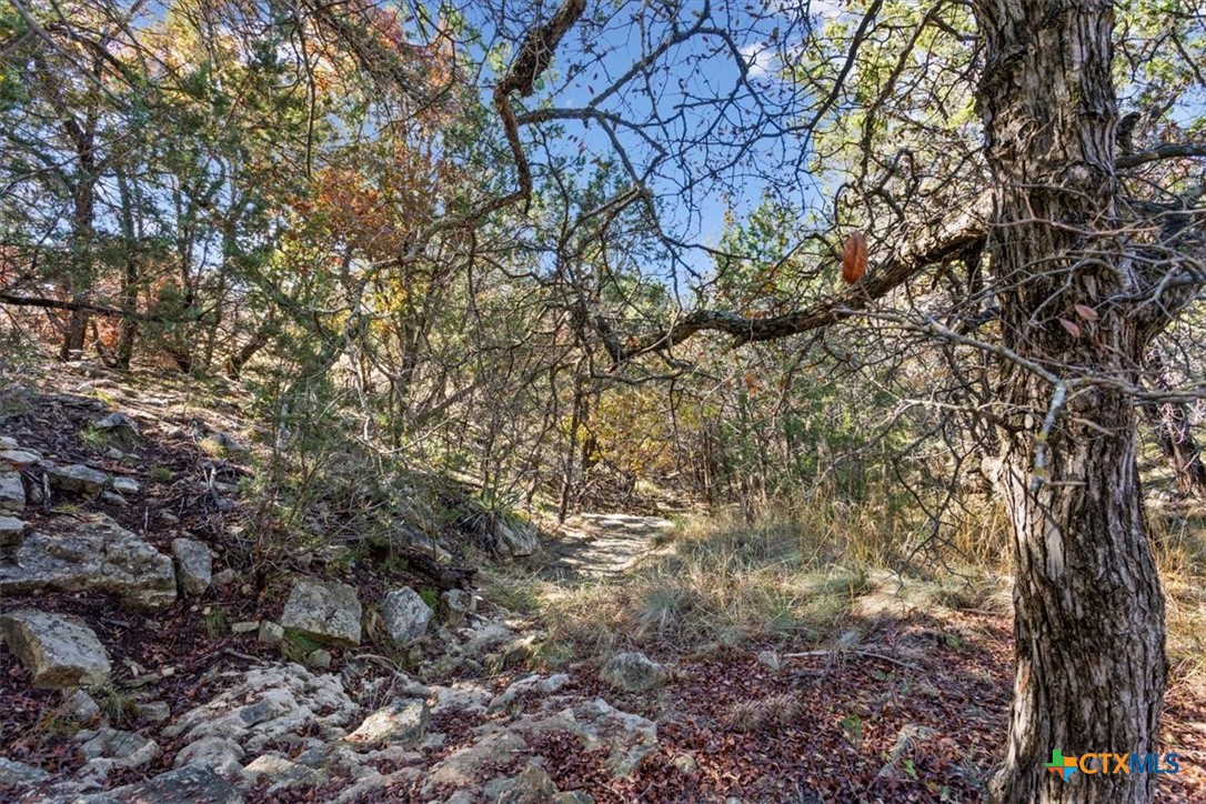 299 White Oak Drive Property Photo 46