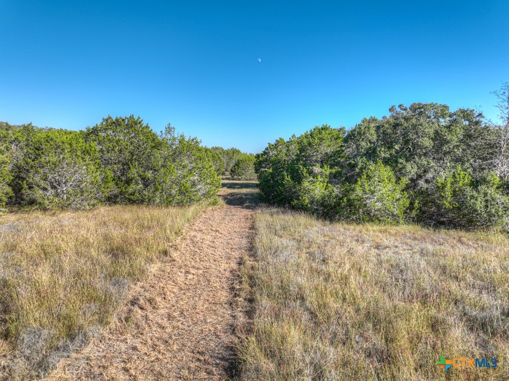 1736 Demi John Bend Rd Property Photo 17