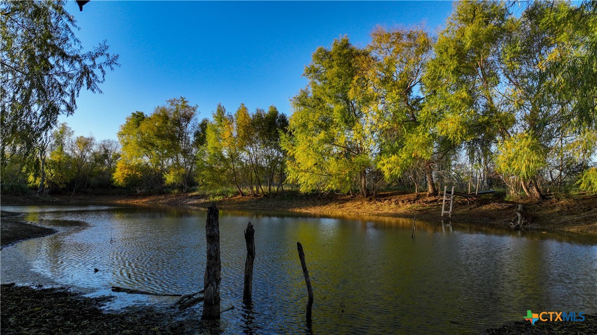 1111 Gold Dust Road Property Photo 1