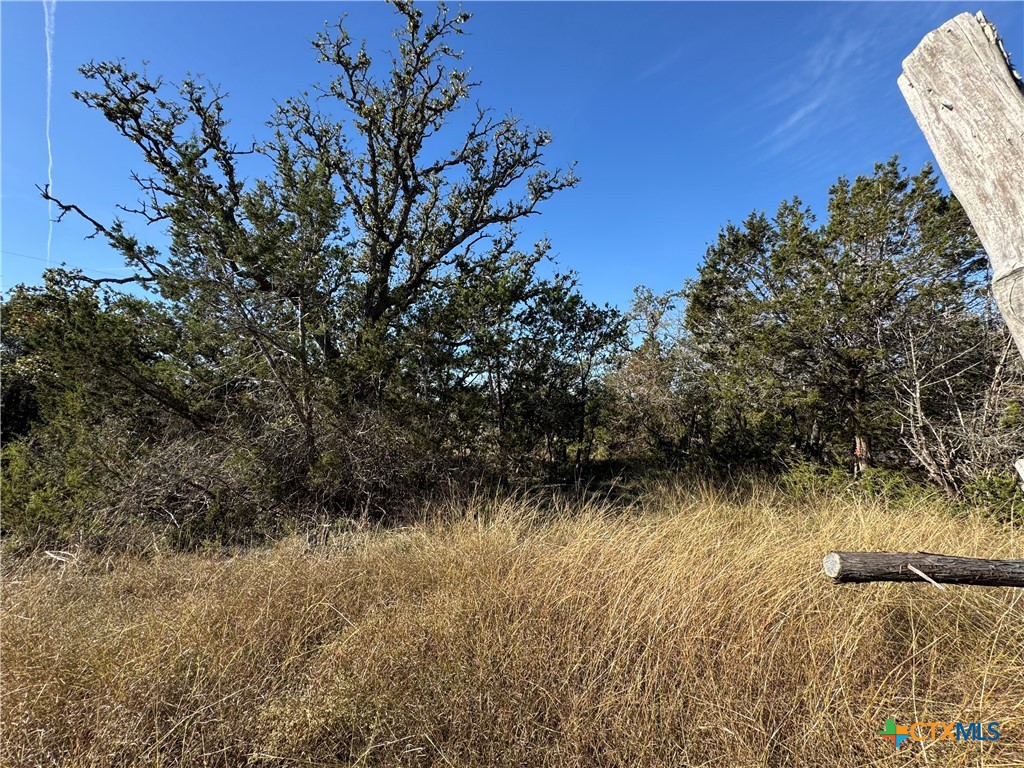Tbd Oakwood Loop Property Photo 3