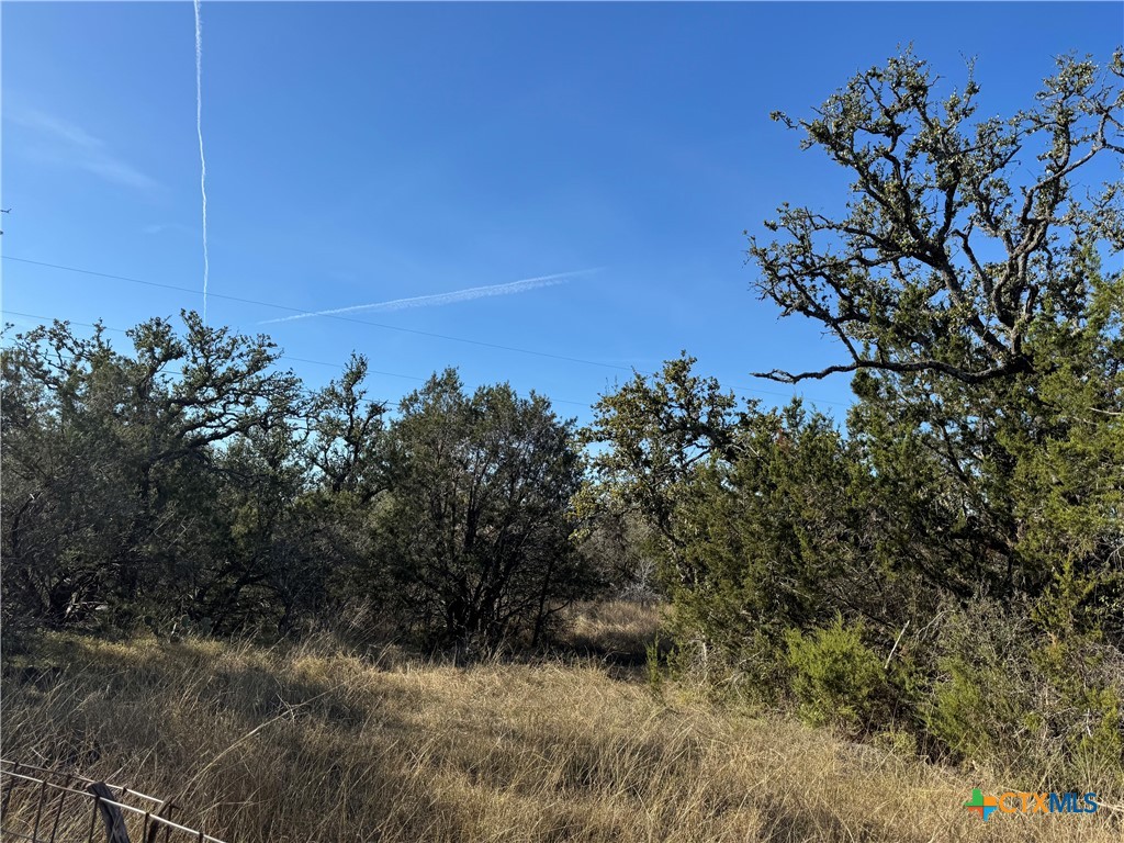 Tbd Oakwood Loop Property Photo 5
