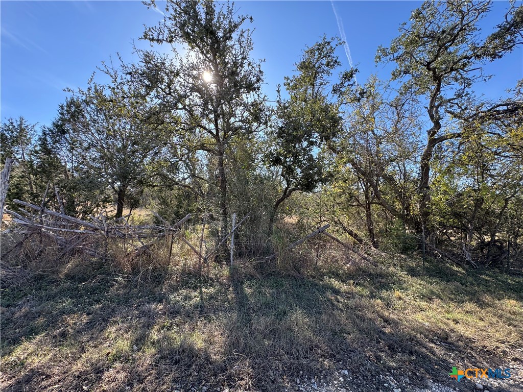 Tbd Oakwood Loop Property Photo 7