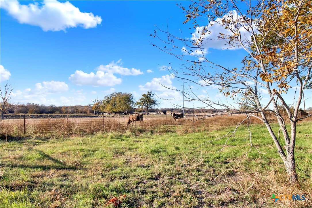 9562 State Highway 53 Property Photo 33