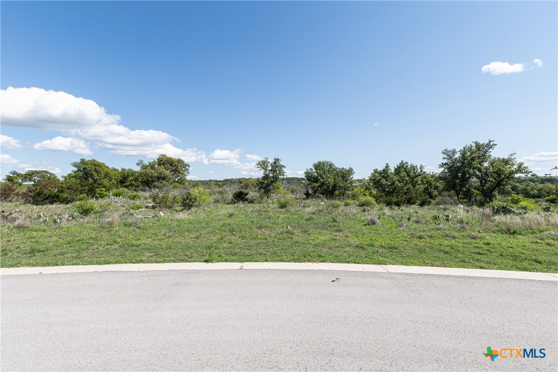 Lot 80 Big Creek Drive Property Photo 10