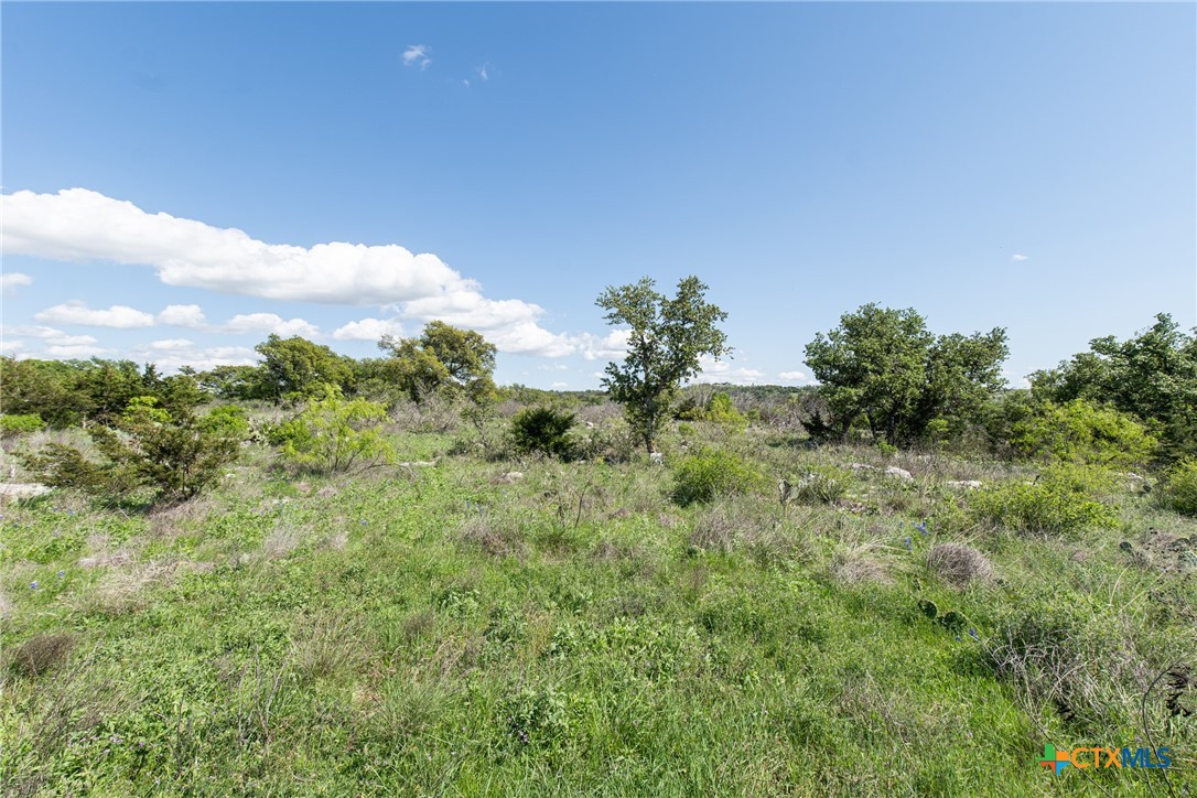 Lot 80 Big Creek Drive Property Photo 11