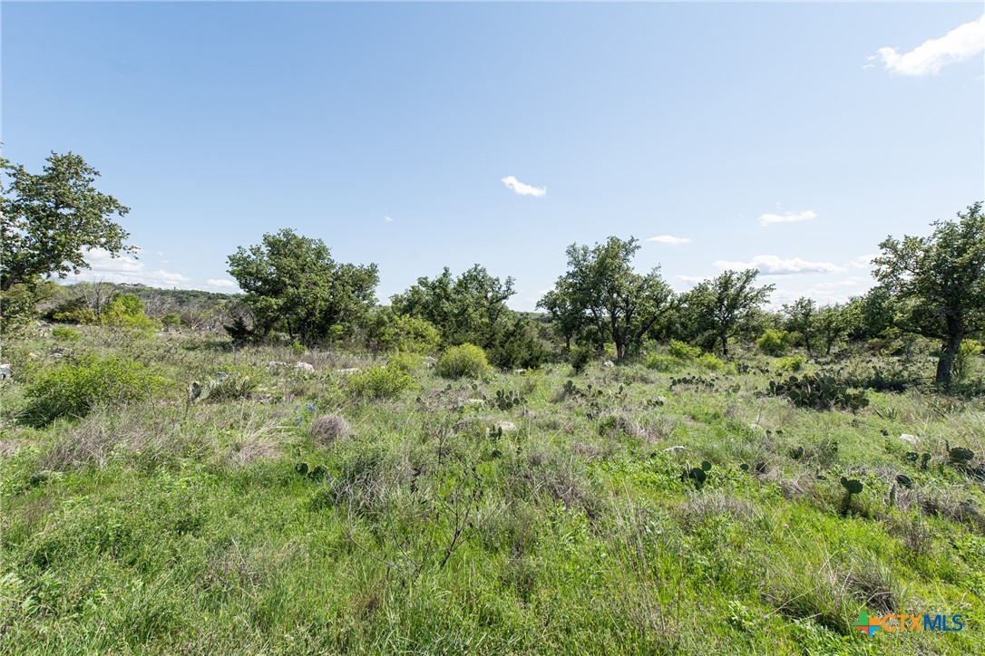 Lot 80 Big Creek Drive Property Photo 12