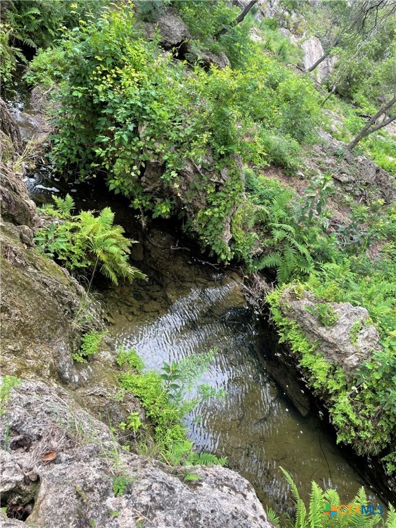 Lot 80 Big Creek Drive Property Photo 17