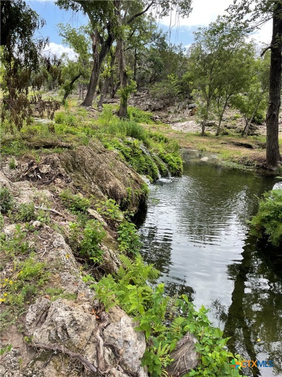 Lot 80 Big Creek Drive Property Photo 18