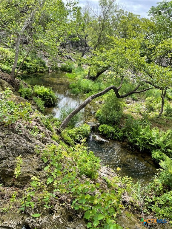 Lot 80 Big Creek Drive Property Photo 19