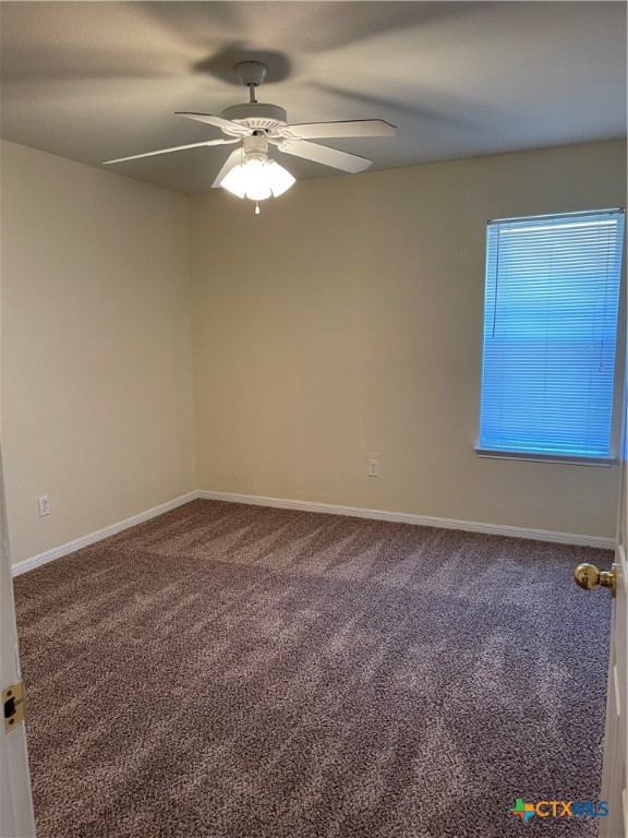 3907 Edgefield Street Property Photo 9