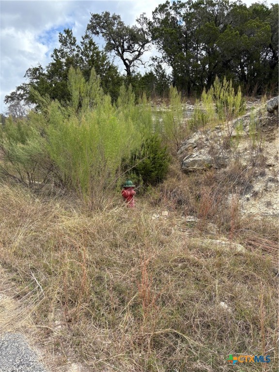 2660 Rocky Ridge Loop Property Photo 2