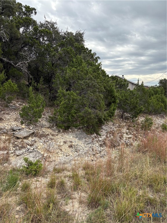 2660 Rocky Ridge Loop Property Photo 4