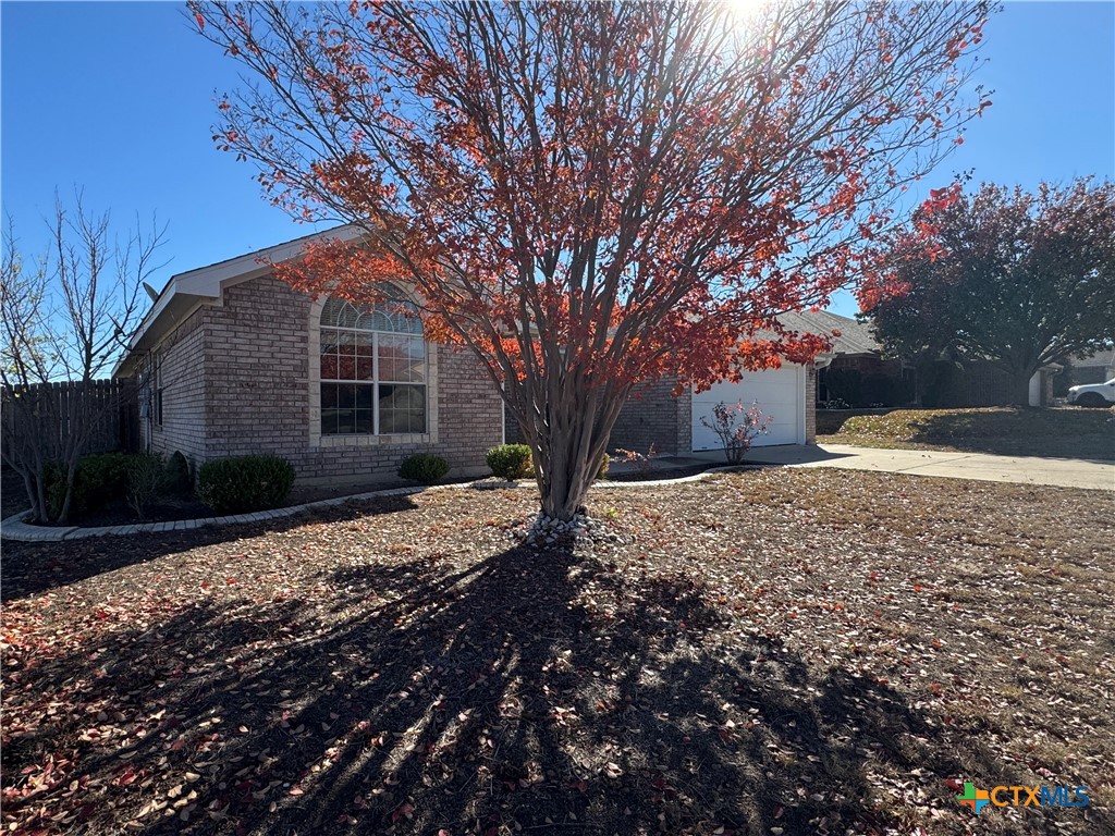 4202 Maid Marian Circle Property Photo 3