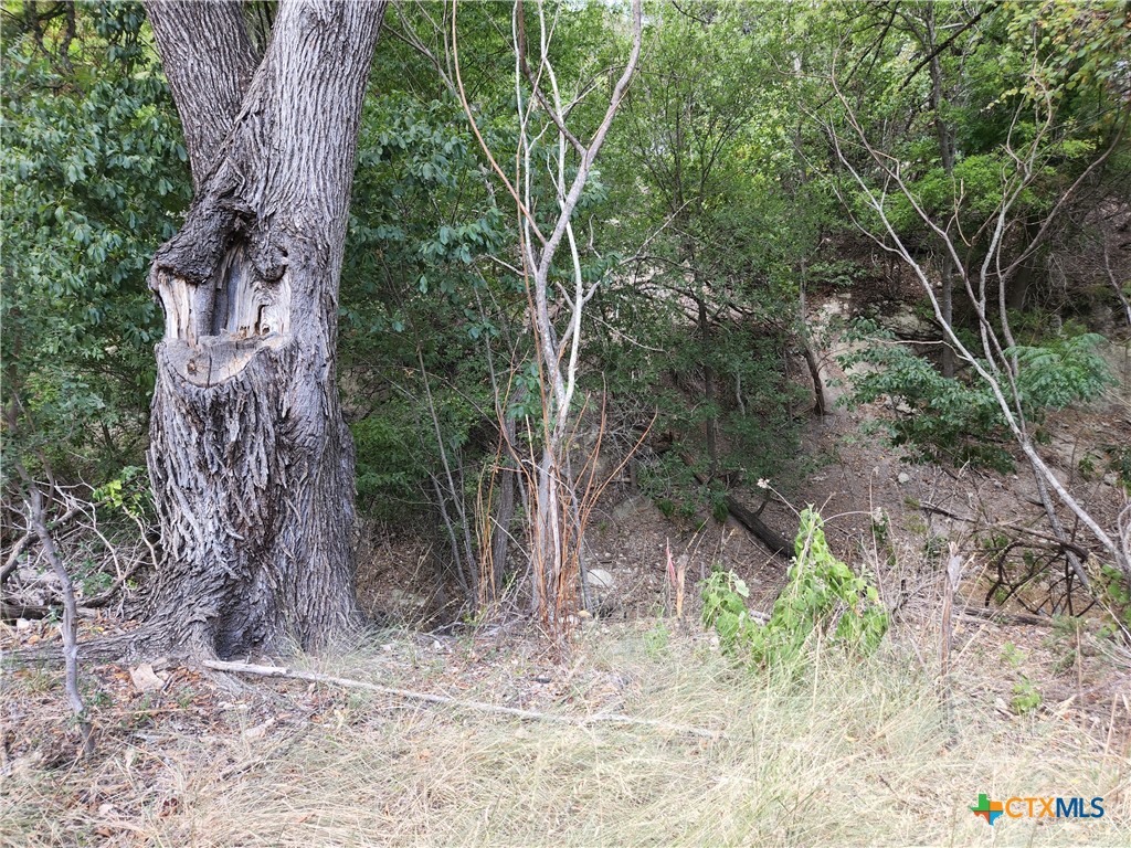 6716-6720 Valley Drive Property Photo 3