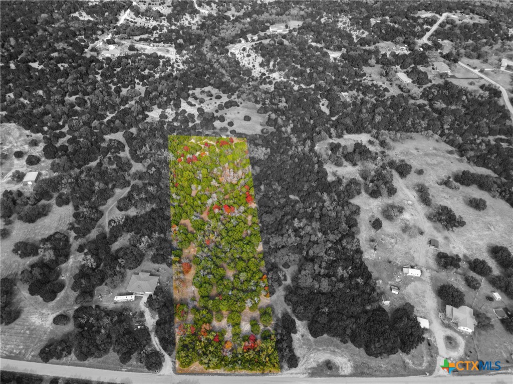 Tbd County Road 3106 Property Photo 2