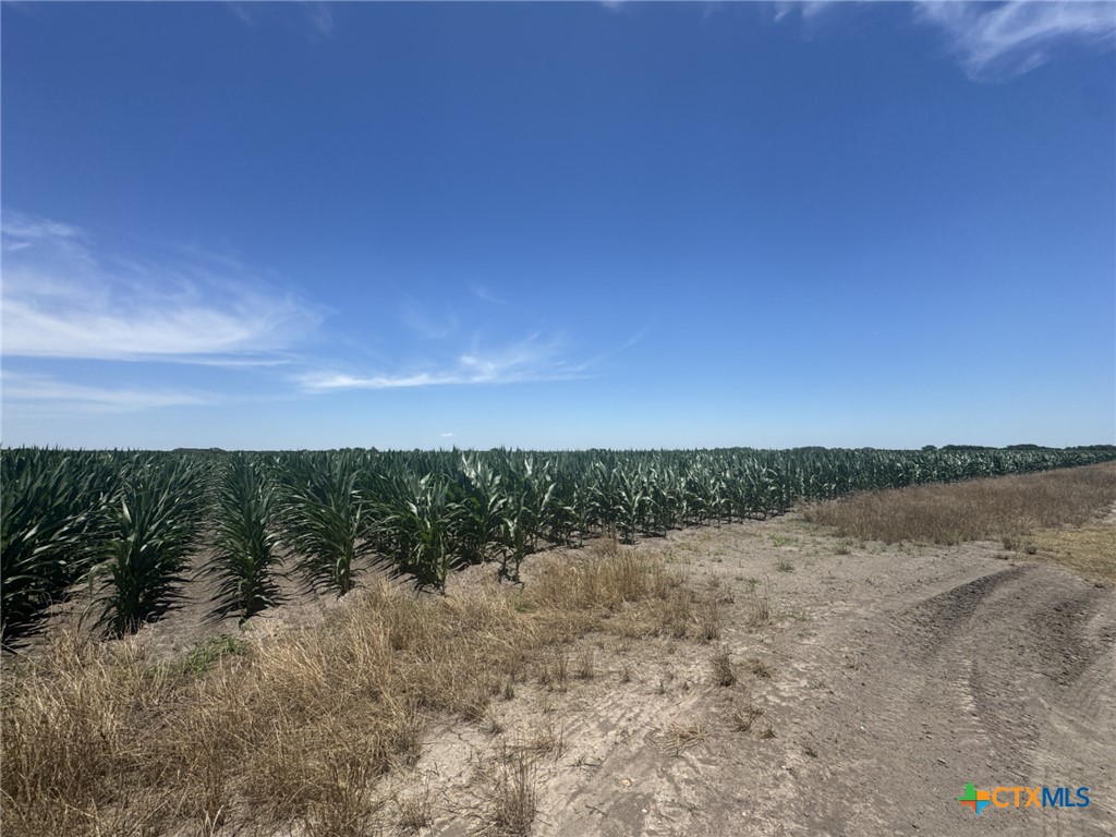 Tbd Cr 335 Road Property Photo 1