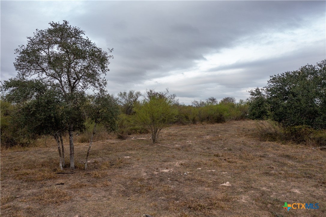 916 Tate Road Property Photo 4