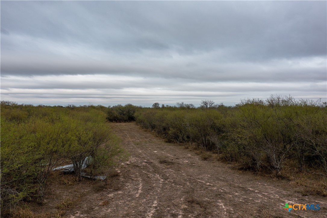 916 Tate Road Property Photo 12