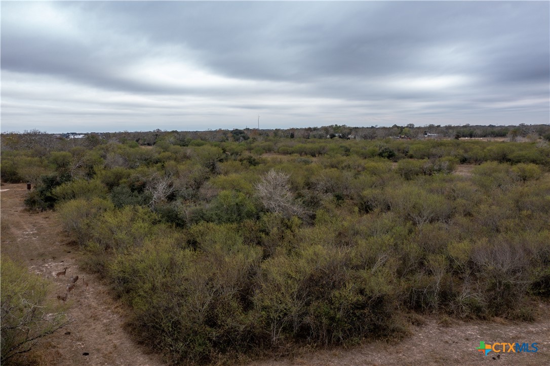 916 Tate Road Property Photo 13