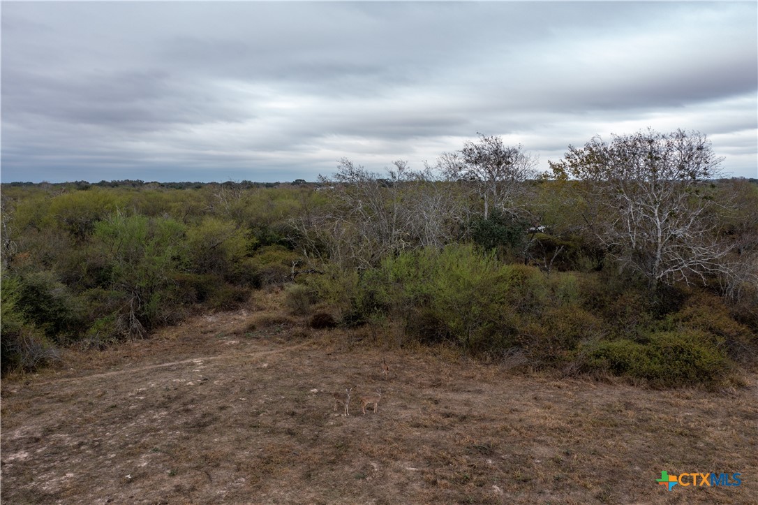 916 Tate Road Property Photo 14