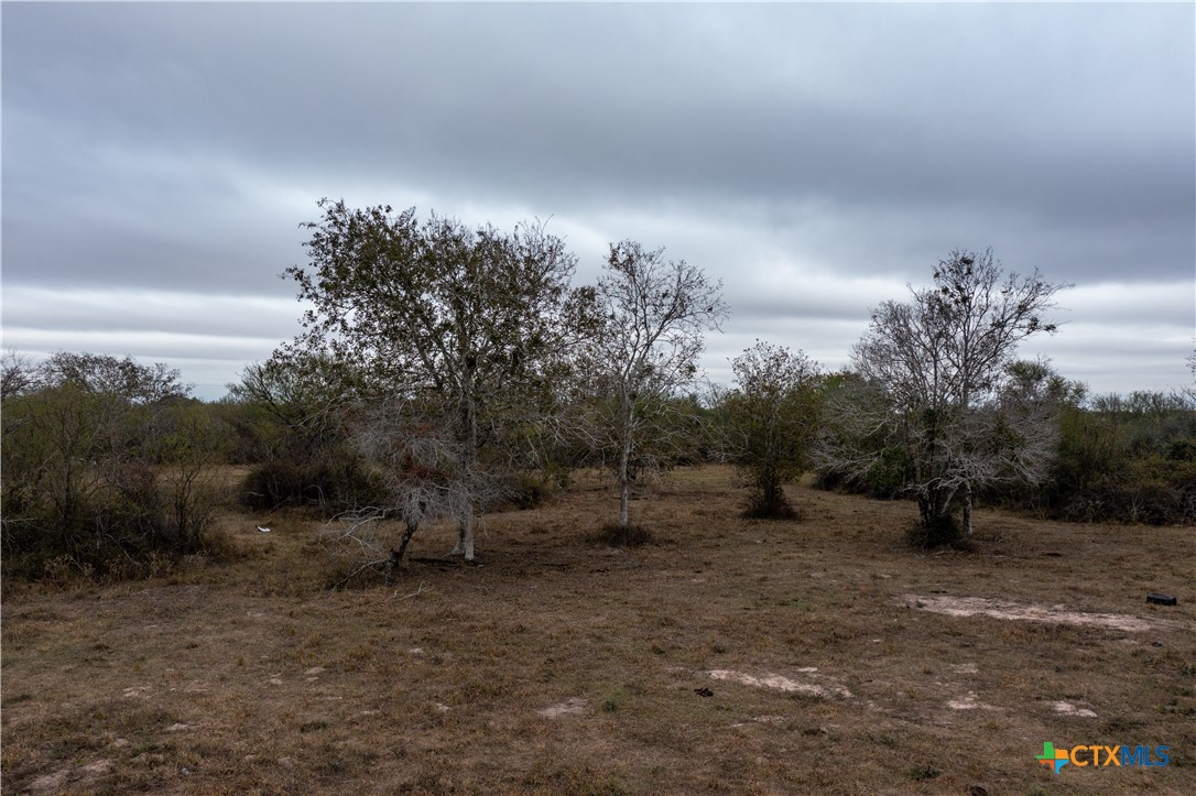 916 Tate Road Property Photo 15