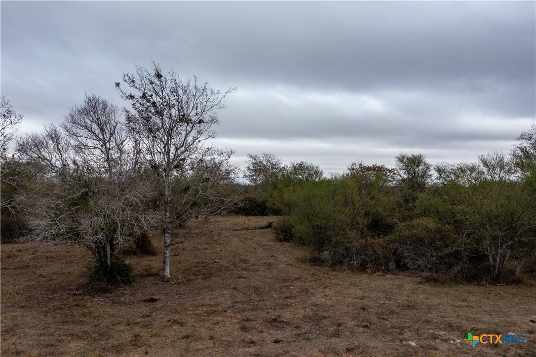 916 Tate Road Property Photo 16