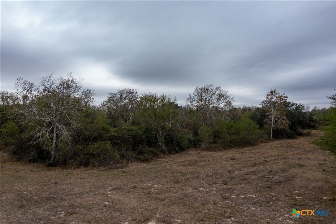 916 Tate Road Property Photo 17