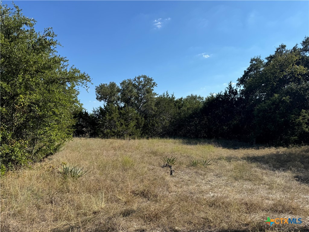 Lot 19 Bowles Ranch Road Property Photo 1
