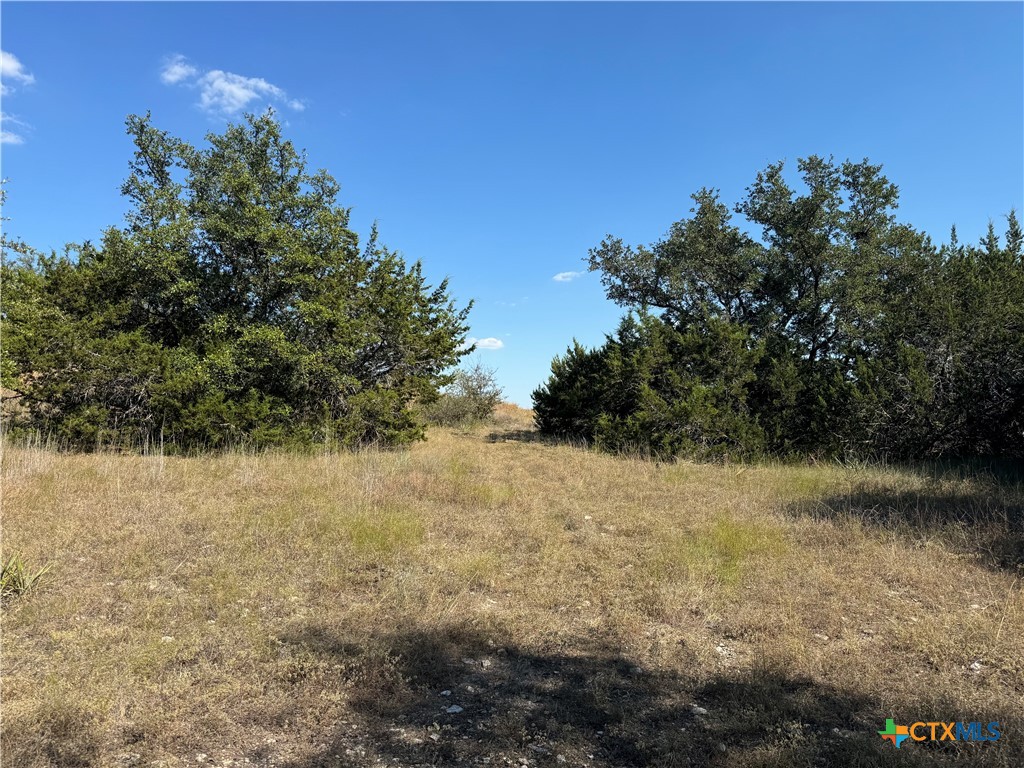 Lot 19 Bowles Ranch Road Property Photo 6