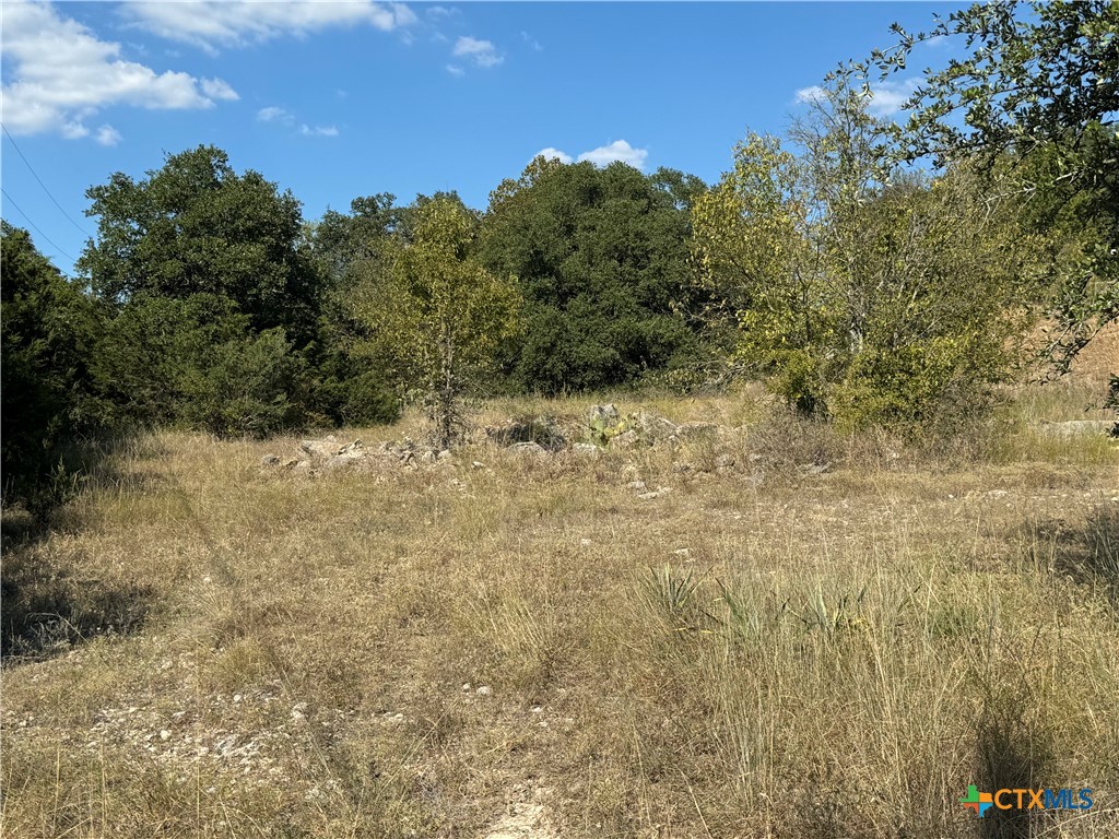 Lot 19 Bowles Ranch Road Property Photo 7
