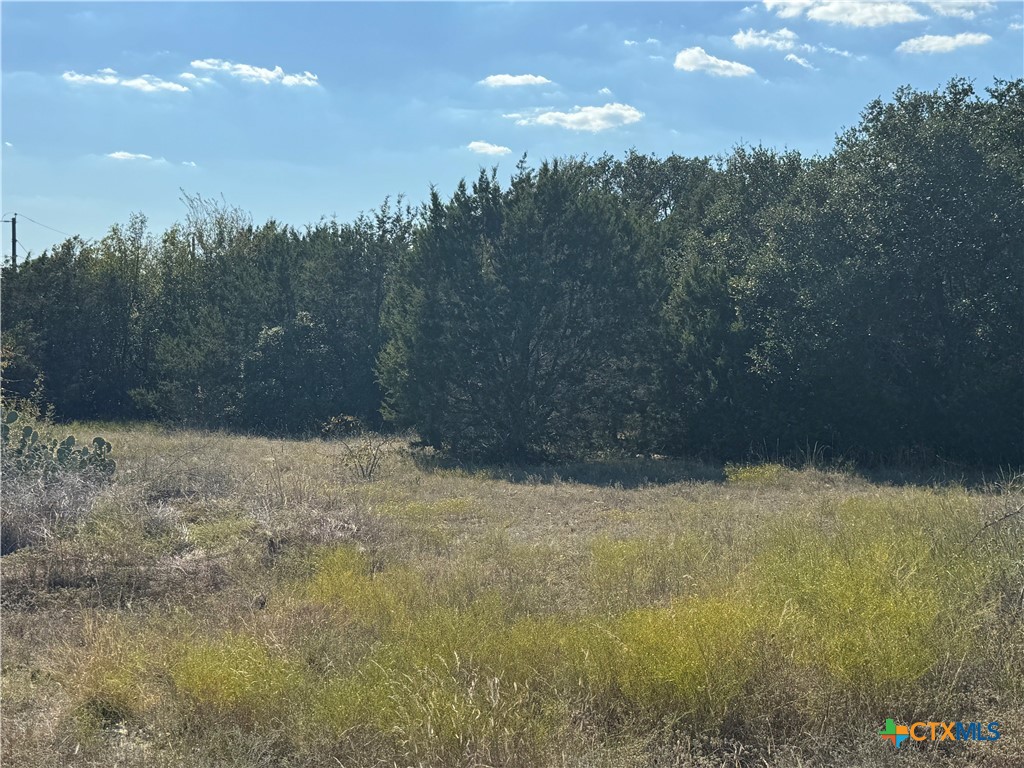 Lot 19 Bowles Ranch Road Property Photo 9