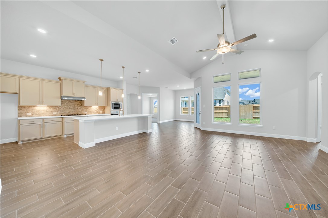 209 Filmore Falls Property Photo 4