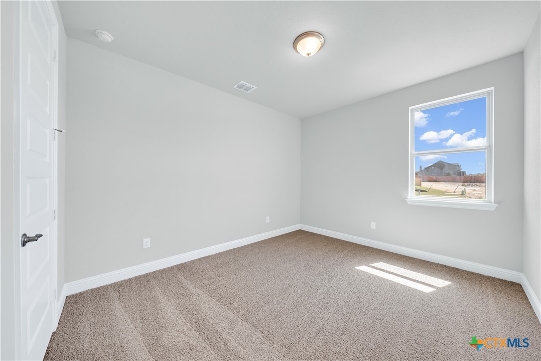 209 Filmore Falls Property Photo 18