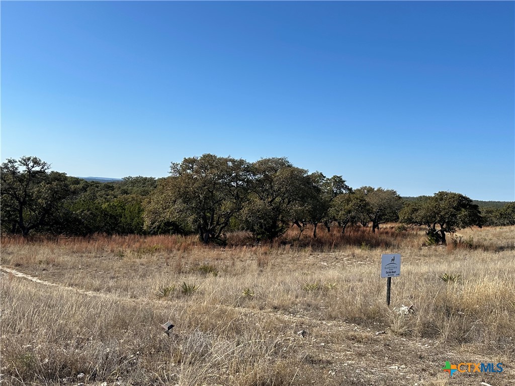 Lot 186 Blackbuck Ridge Drive Property Photo 3