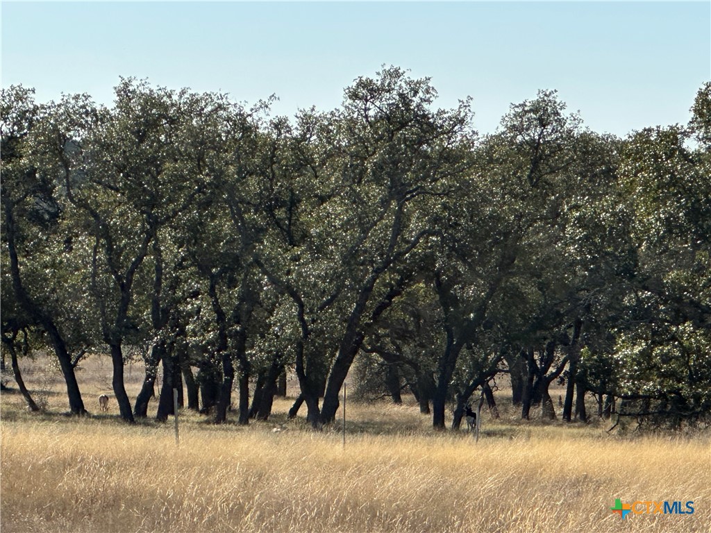 Lot 186 Blackbuck Ridge Drive Property Photo 4