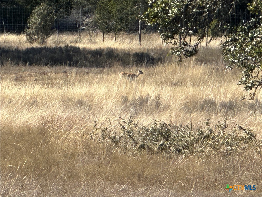 Lot 186 Blackbuck Ridge Drive Property Photo 5