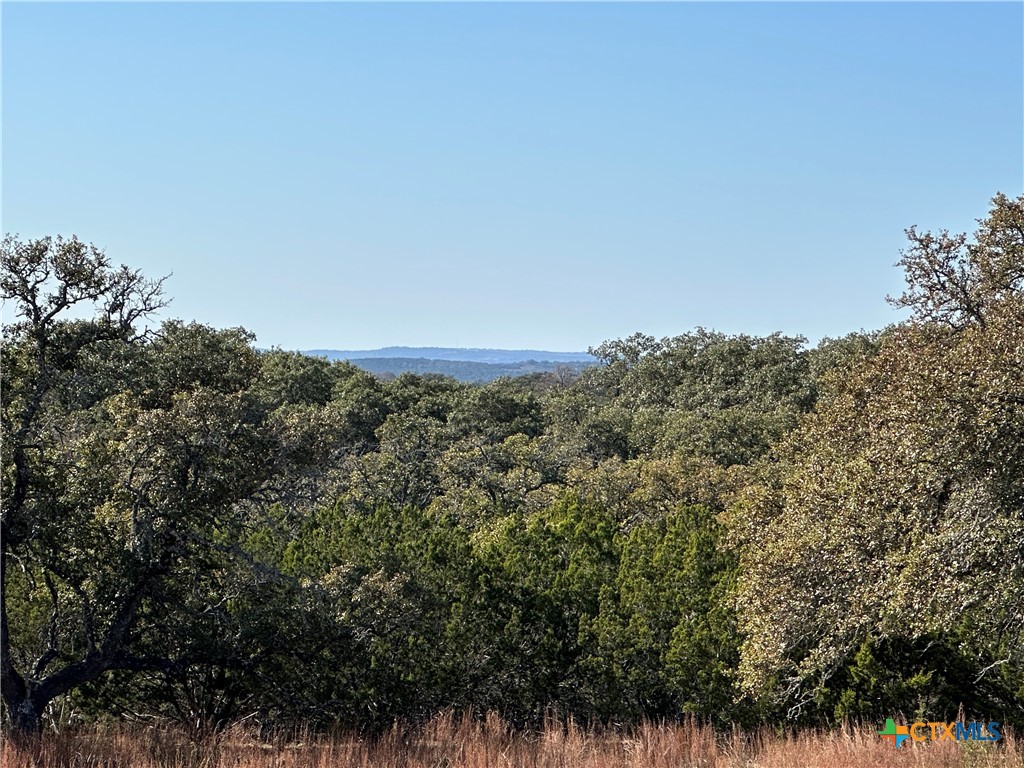 Lot 186 Blackbuck Ridge Drive Property Photo 6