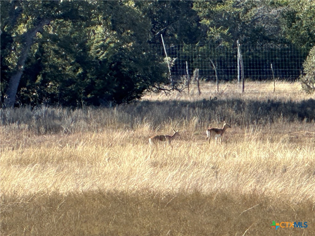 Lot 186 Blackbuck Ridge Drive Property Photo 8