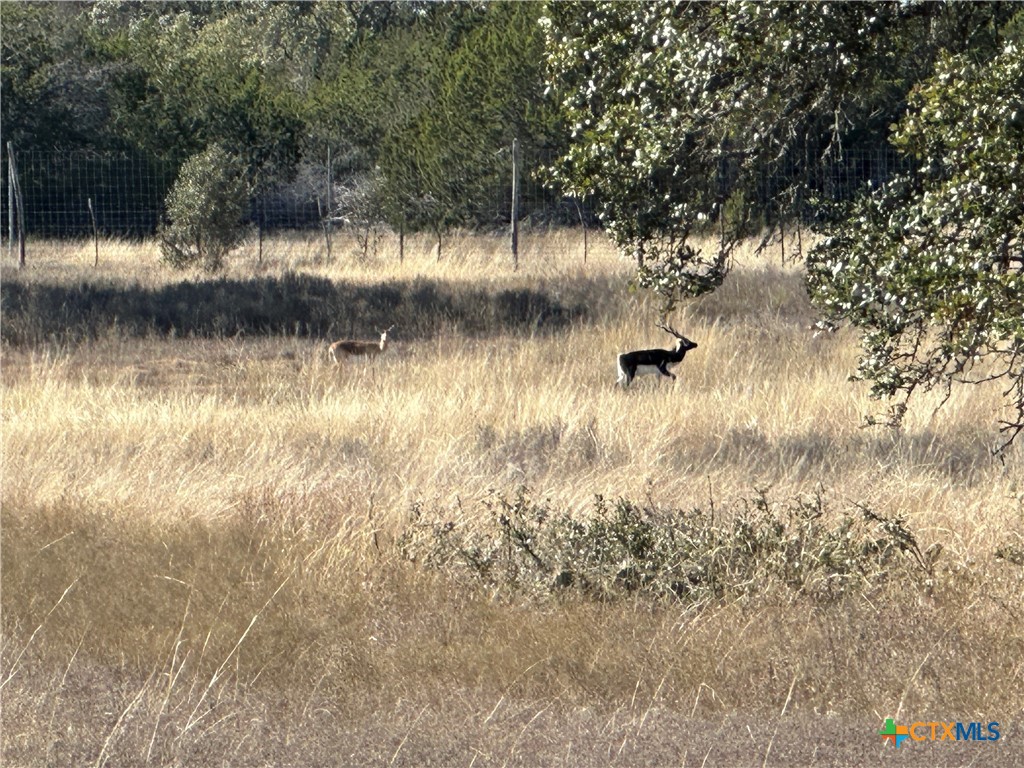 Lot 186 Blackbuck Ridge Drive Property Photo 9
