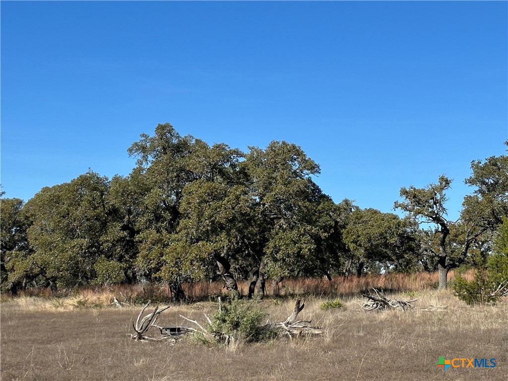 Lot 186 Blackbuck Ridge Drive Property Photo 11