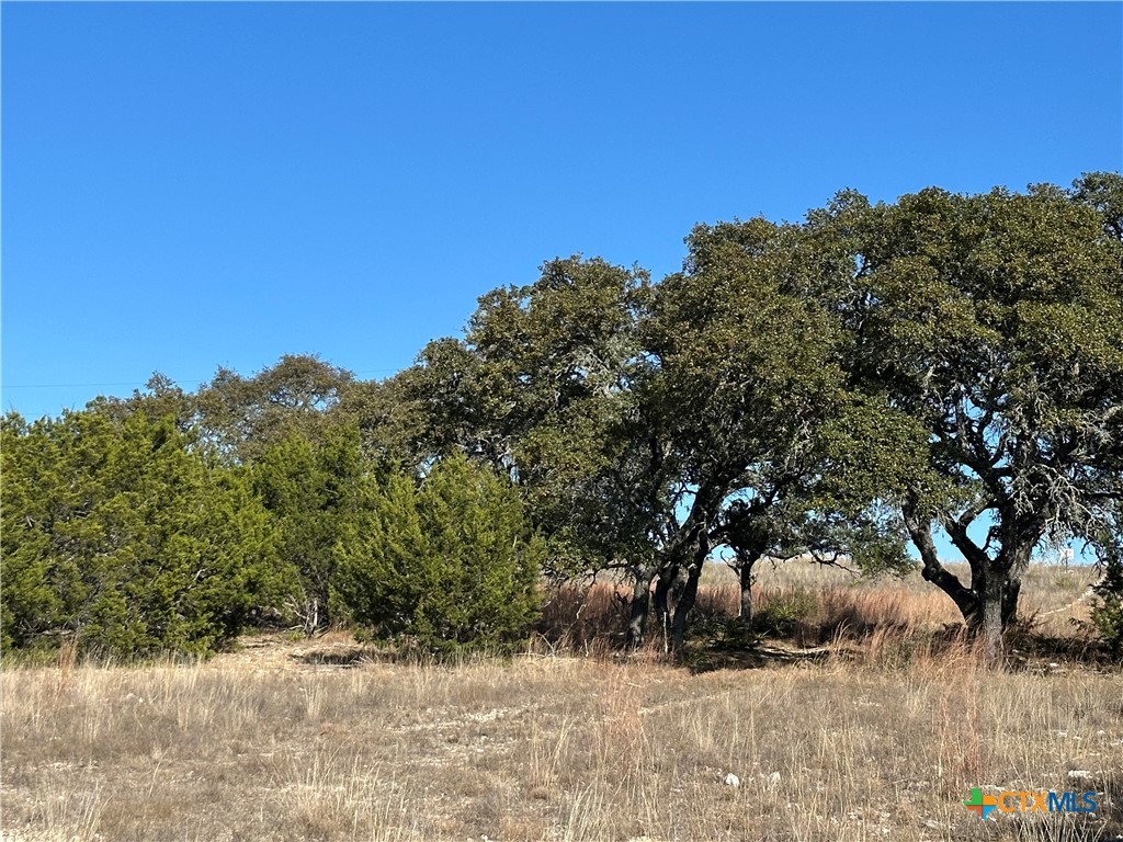 Lot 186 Blackbuck Ridge Drive Property Photo 12