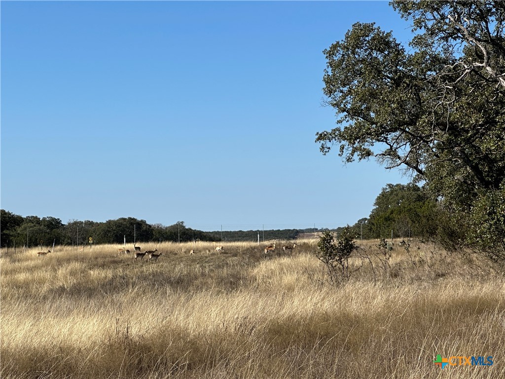 Lot 186 Blackbuck Ridge Drive Property Photo 14
